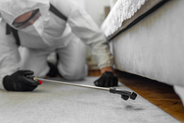 Professional Termite Control technician working in Weldon, NC