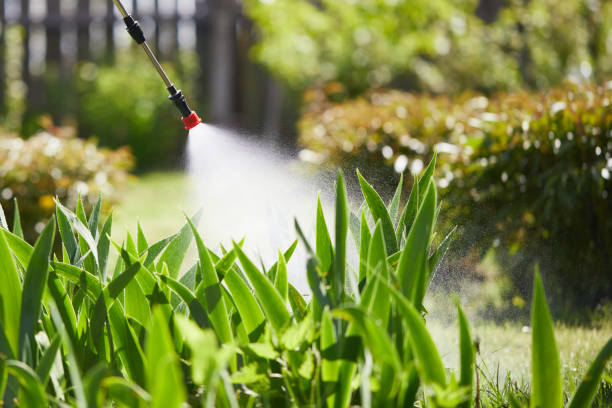 24/7 Emergency Termite Control experts in Weldon, NC